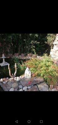 romantischer Weiher.jpg