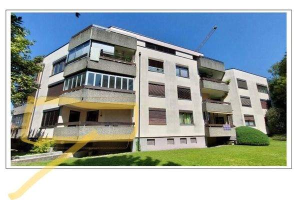 PHOTO-2025-06-12-15-50-27 2.jpg