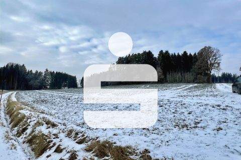 Gangkofen Bauernhöfe, Landwirtschaft, Gangkofen Forstwirtschaft