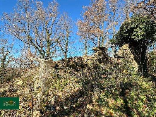 Baugrundstück mit Ruine