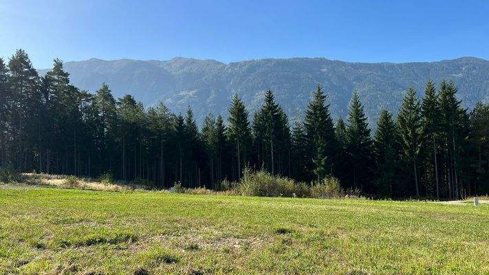 Grundstück 17 - Blick aufs Goldeck