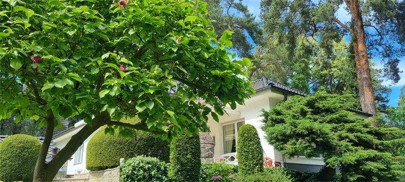 Blick vom Hausaufgang