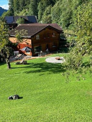 Bild 7