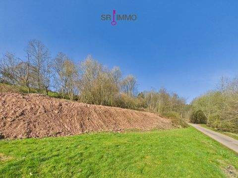 Mettendorf Grundstücke, Mettendorf Grundstück kaufen