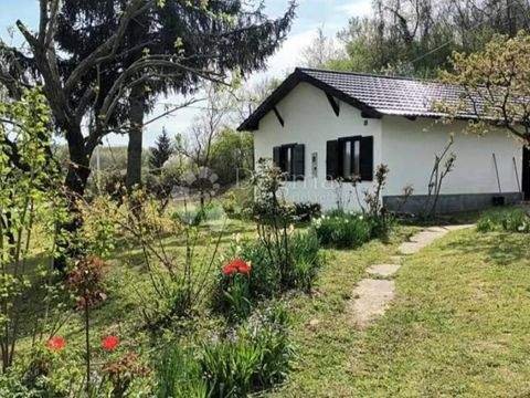 Draz Häuser, Draz Haus kaufen