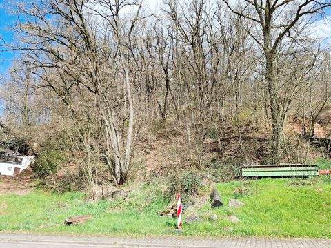 Beckingen Grundstücke, Beckingen Grundstück kaufen