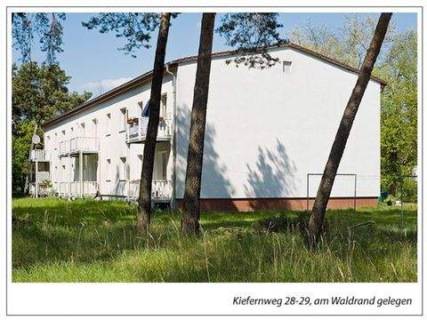 Niedergörsdorf Wohnungen, Niedergörsdorf Wohnung mieten