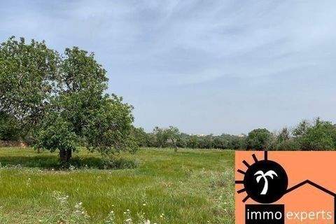 Santanyi Grundstücke, Santanyi Grundstück kaufen