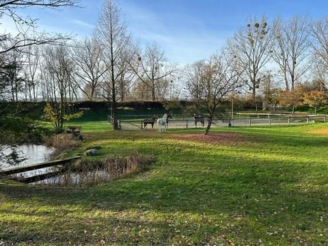 Hedwigsburg Bauernhöfe, Landwirtschaft, Hedwigsburg Forstwirtschaft