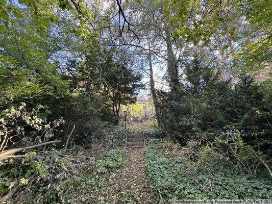 Blick vom Grundstück zur höher gelegenen Straße