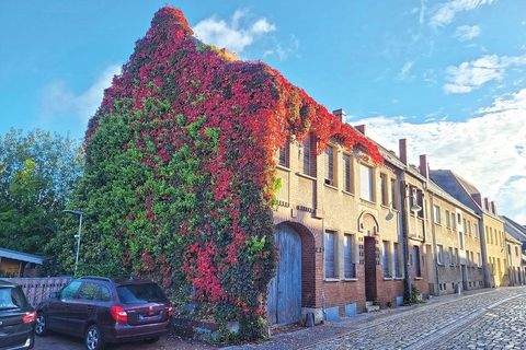 Coswig (Anhalt) Grundstücke, Coswig (Anhalt) Grundstück kaufen