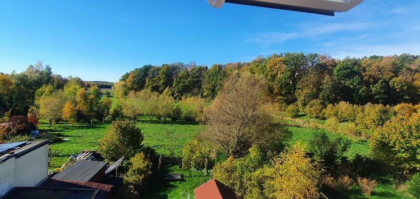 2025-3353-Ausblick