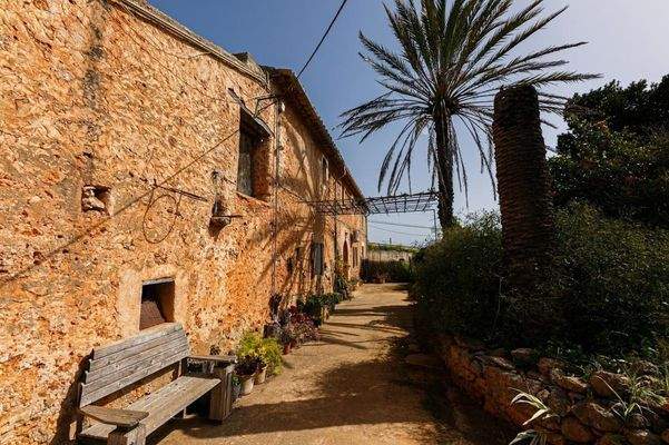 Terrasse mit Blick in den Osten 