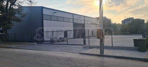 Vidin Halle, Vidin Hallenfläche