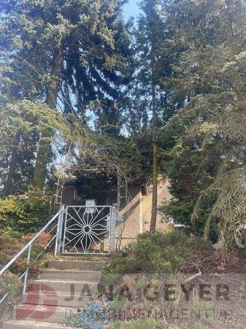 Bad Schmiedeberg Häuser, Bad Schmiedeberg Haus kaufen