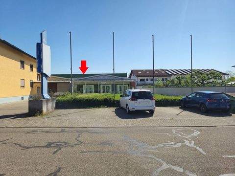 Pfinztal Halle, Pfinztal Hallenfläche