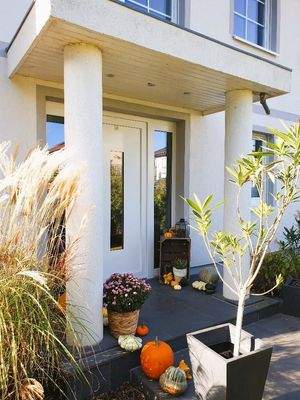 Willkommen im neuen Zuhause