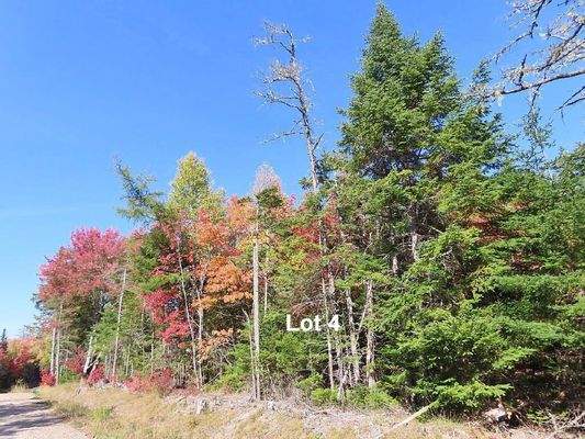 Nova Scotia - West Side Country Harbour - Preiswer