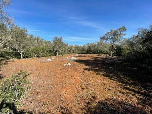 Grundstück mit Projekt für ein Haus mit Pool zum Verkauf in Felanitx, Mallorca.
