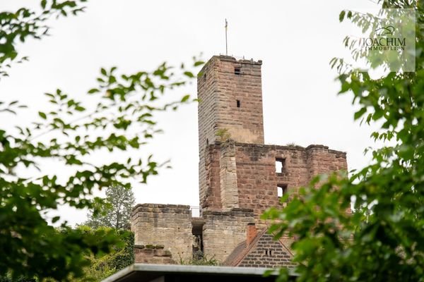 Burgblick Garten