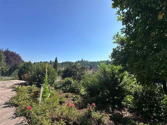 Blick auf das Grundstück 