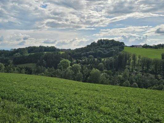 weite Hügellandschaft
