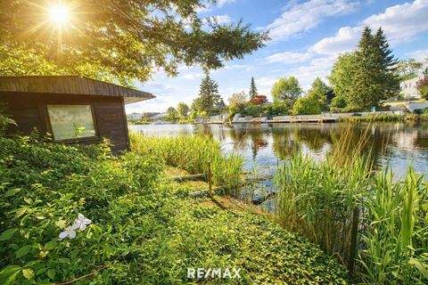 Steinbrunn Häuser, Steinbrunn Haus kaufen