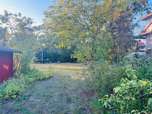 PHOTO-2023-11-15-20-41-23 (4)