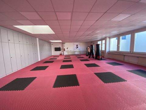 Hamburg Halle, Hamburg Hallenfläche