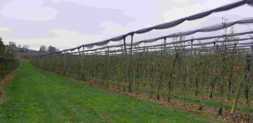 Blick von Süden Richtung Norden.jpg