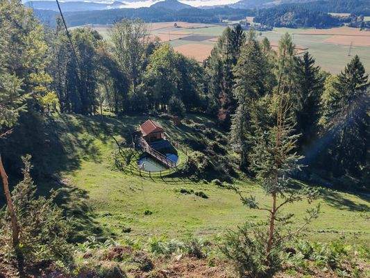 Fischteich mit Holzhütte