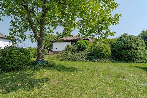 Liebevoll angelegter Garten