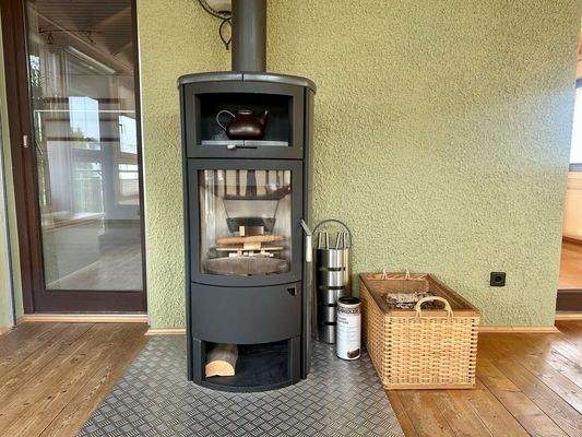 Schwedenofen im WG