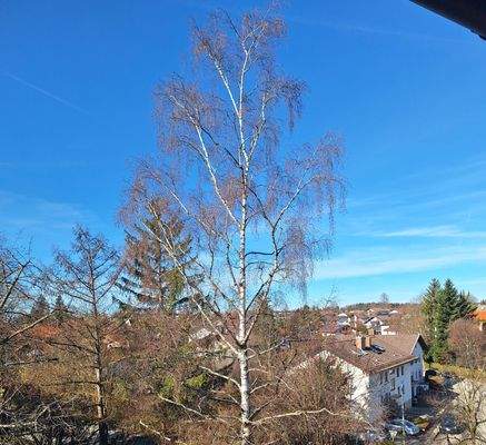 Blick von der Westloggia