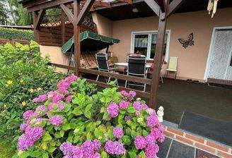 Blick auf die Terrasse