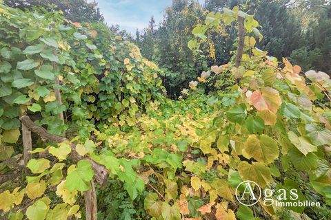 Kagel Grundstücke, Kagel Grundstück kaufen