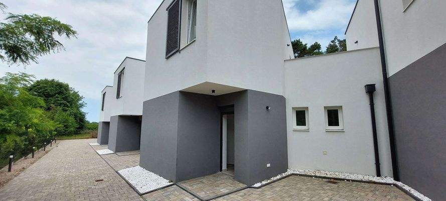 20250612_104647 (1).jpg