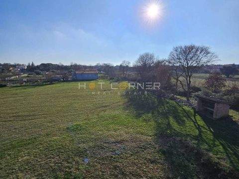 Liznjan Bauernhöfe, Landwirtschaft, Liznjan Forstwirtschaft