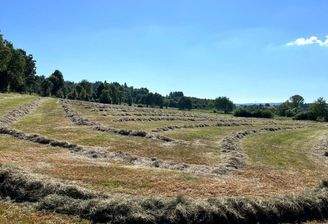 Steinfurt_Heuernte_0725 (2) (002).jpg