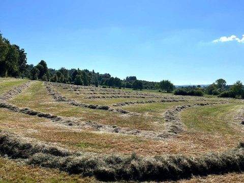 Grebenhain Bauernhöfe, Landwirtschaft, Grebenhain Forstwirtschaft