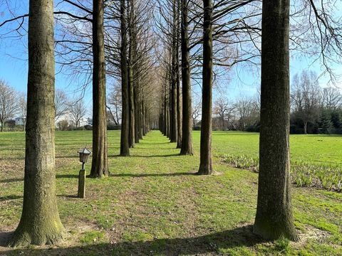 Bühren Grundstücke, Bühren Grundstück kaufen