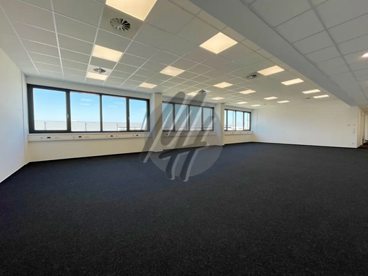 INFOS UNTER: 06171-586000