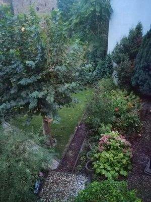 Blick in den Garten.JPG