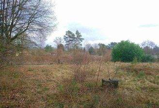 Blick auf das Wohngrundstück