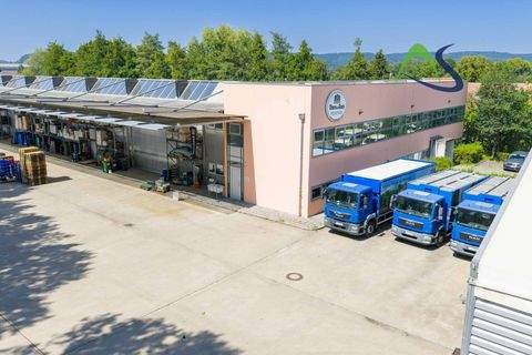 Regensburg Halle, Regensburg Hallenfläche