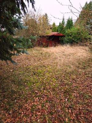 WhatsApp Image 2025-12-10 at 20.23.00 (1).jpeg