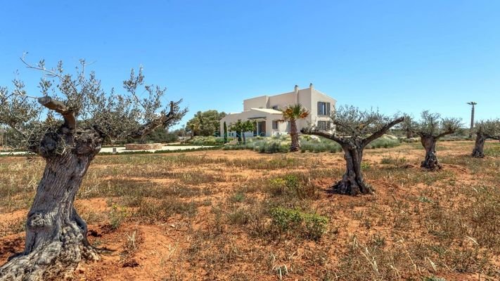 Co-Ownership! Exclusives Landhaus nahe Es Trenc Strand