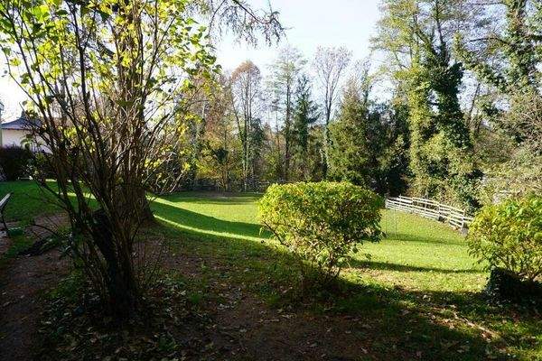 allgemeiner Park der Anlage