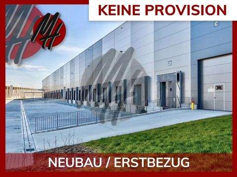 Bernau Halle, Bernau Hallenfläche