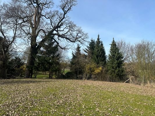 IMG_1098.JPEG